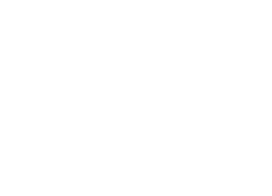 Engineers Ireland logo